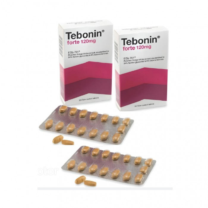 Tebonin Forte 120mg 30's X 2 (Value Pack)