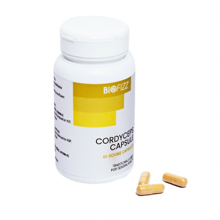 BIOFIZZ Cordyceps Capsule 60'S Cordyceps Supplement Capsules 冬虫夏草丸补肺药材补肾保健品虫草冬虫草